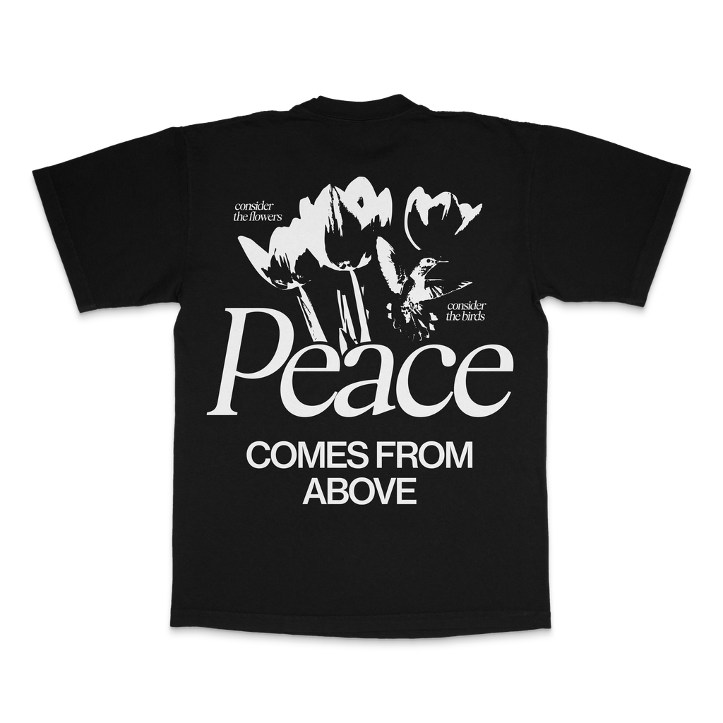 Peace Comes From Above Tee