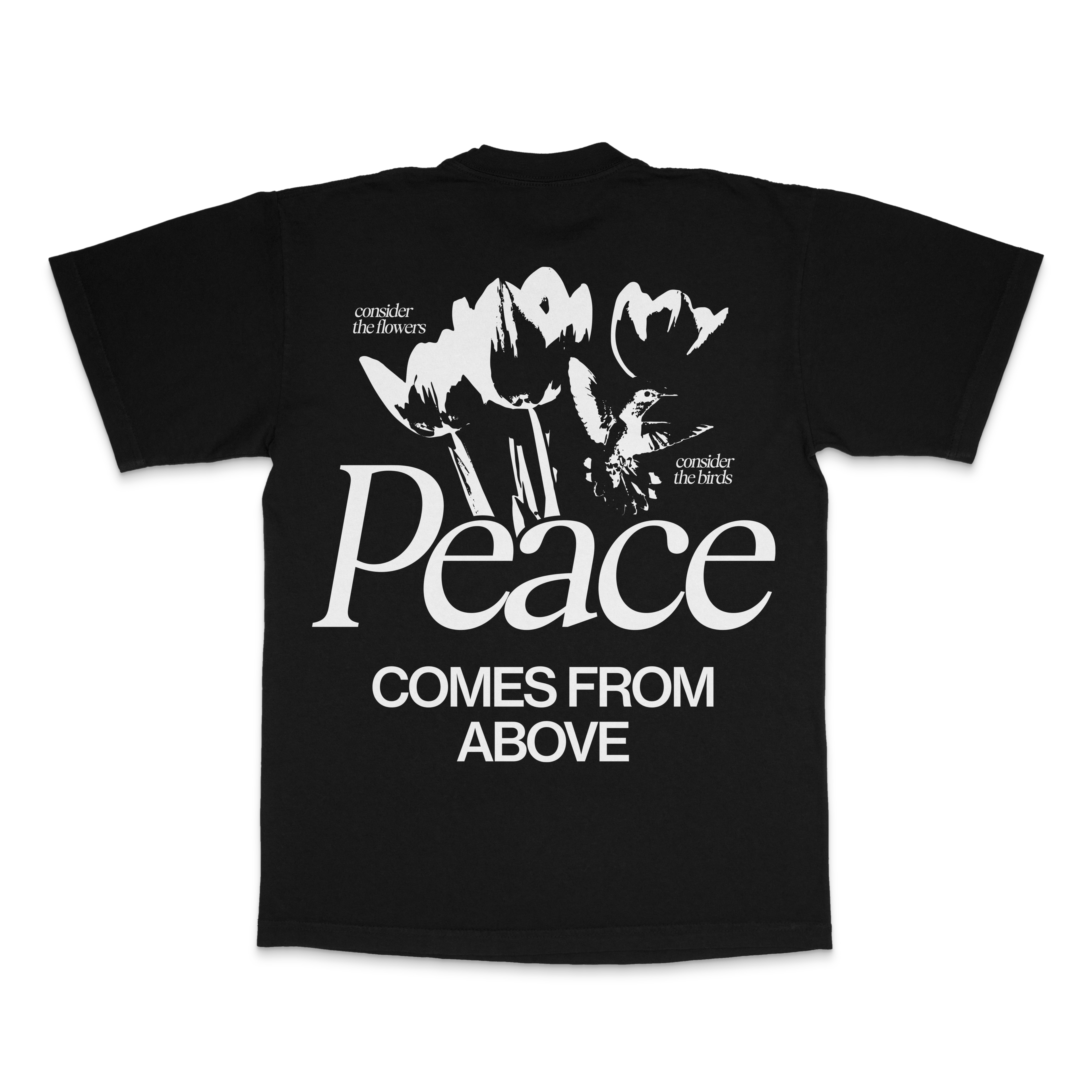 Peace Comes From Above Tee